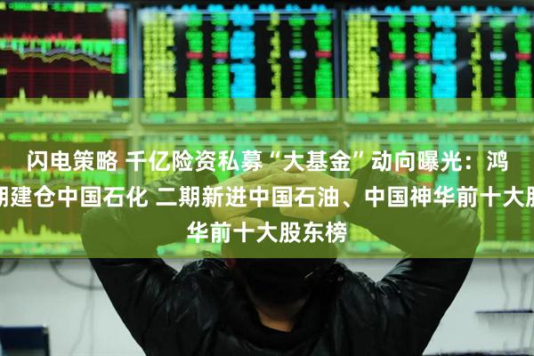 闪电策略 千亿险资私募“大基金”动向曝光：鸿鹄三期建仓中国石化 二期新进中国石油、中国神华前十大股东榜